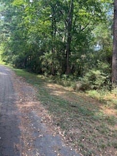 0.33 acres in Texas County - photo 8