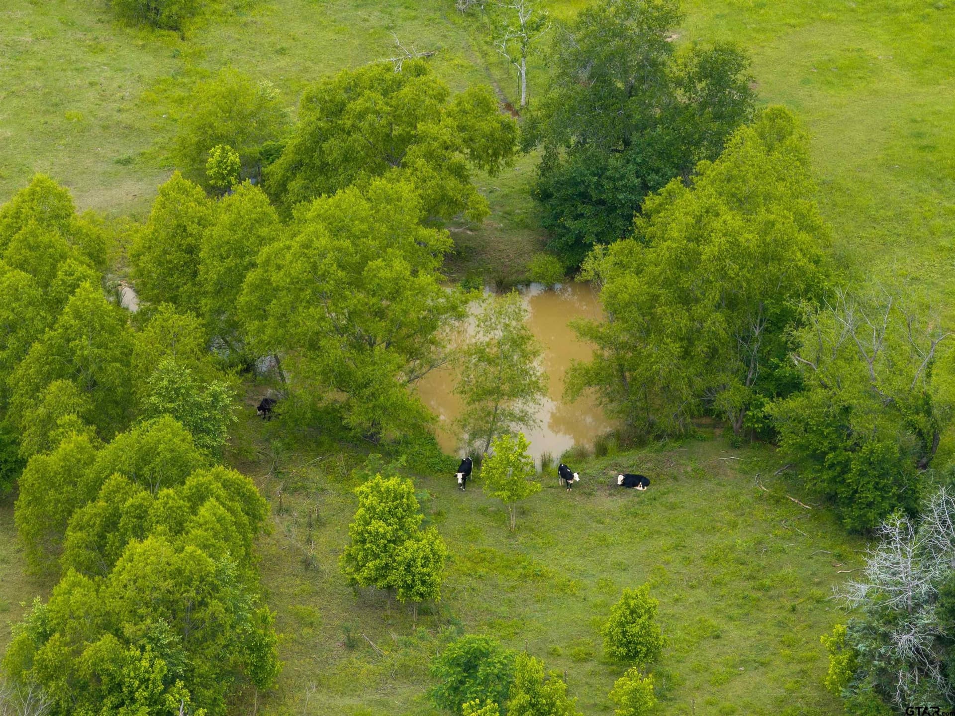 10.48 acres in Anderson County - photo 43