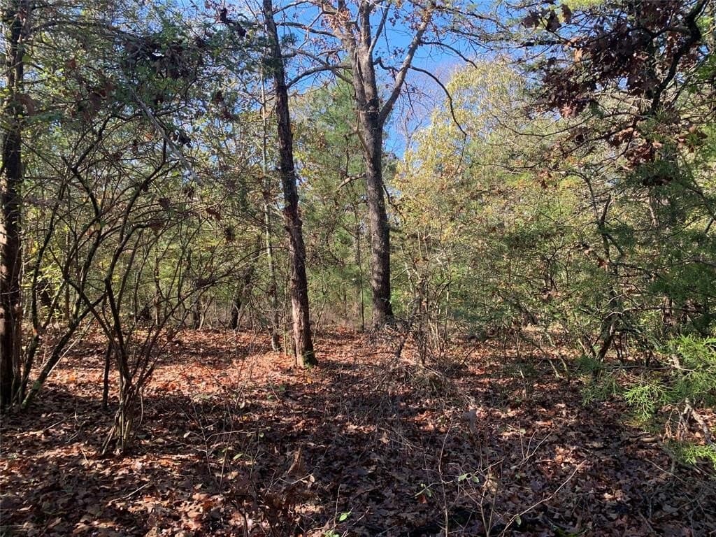 1.13 acres in Henderson County featured view