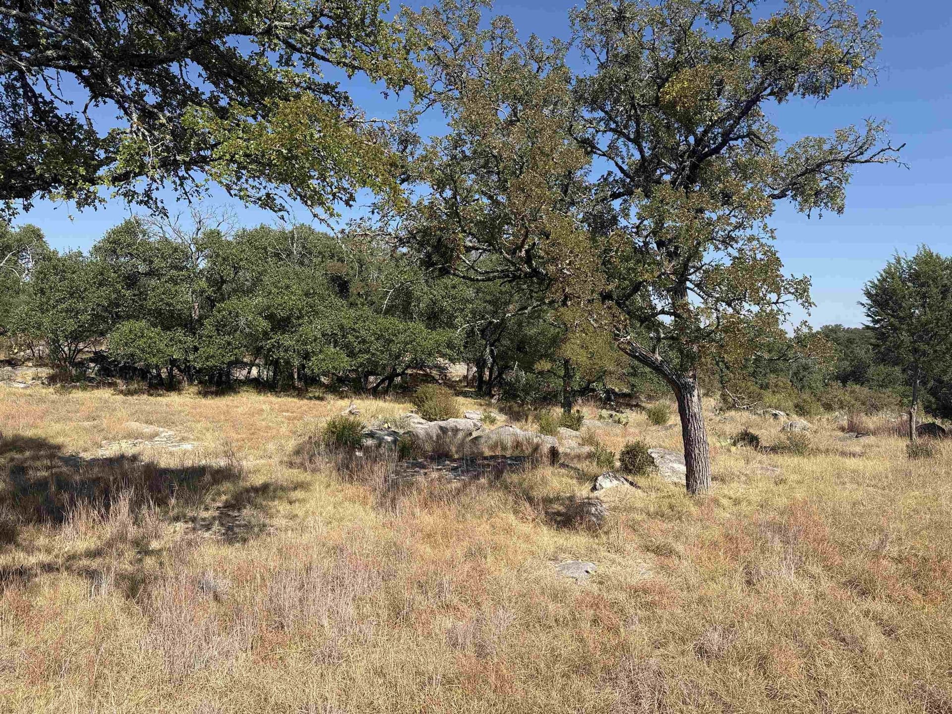 0.28 acres in Llano County - photo 5