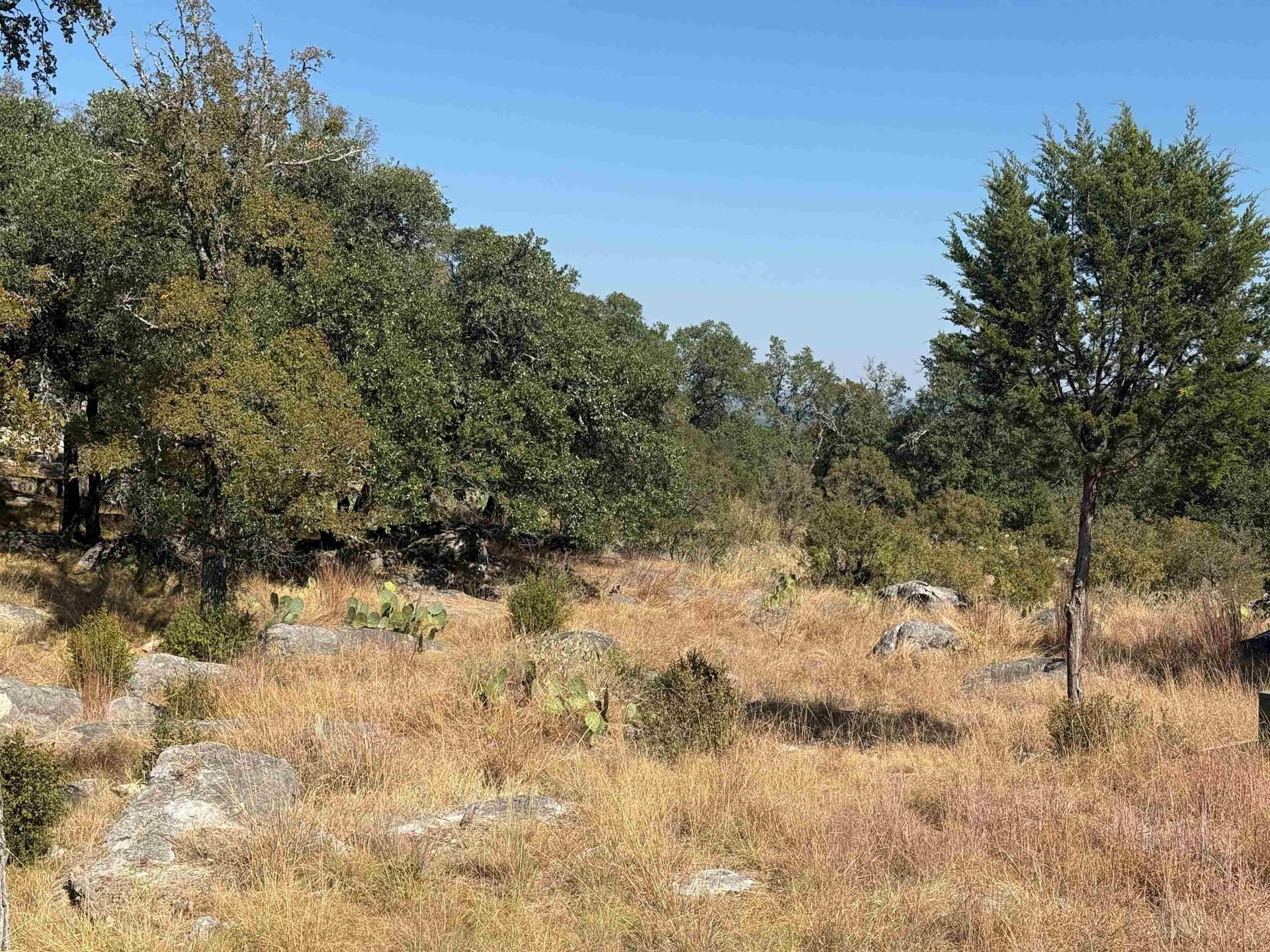 0.28 acres in Llano County - photo 2