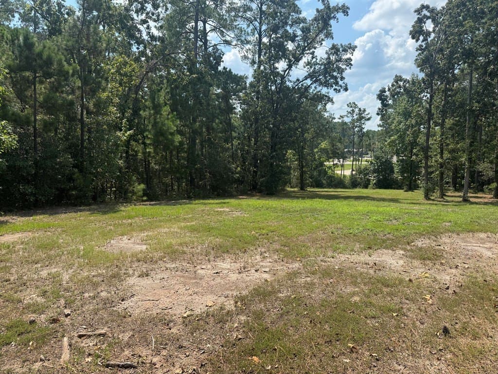 0.45 acres in Texas County - photo 7