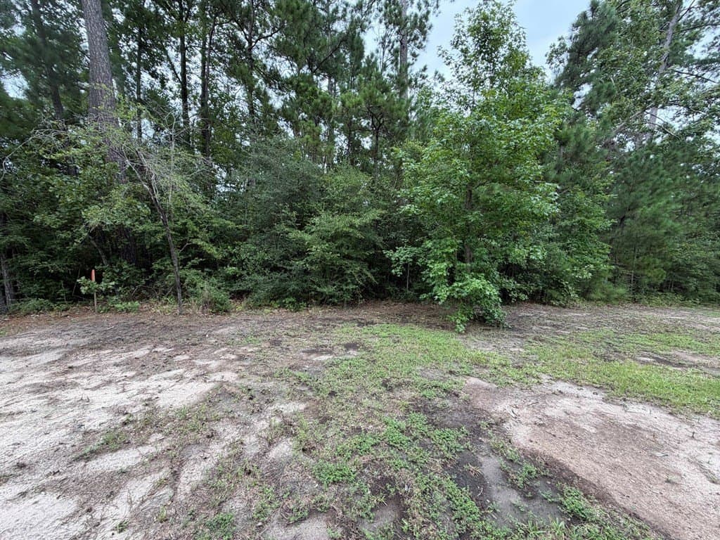 0.45 acres in Texas County - photo 6