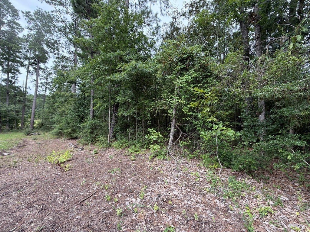 0.45 acres in Texas County - photo 14