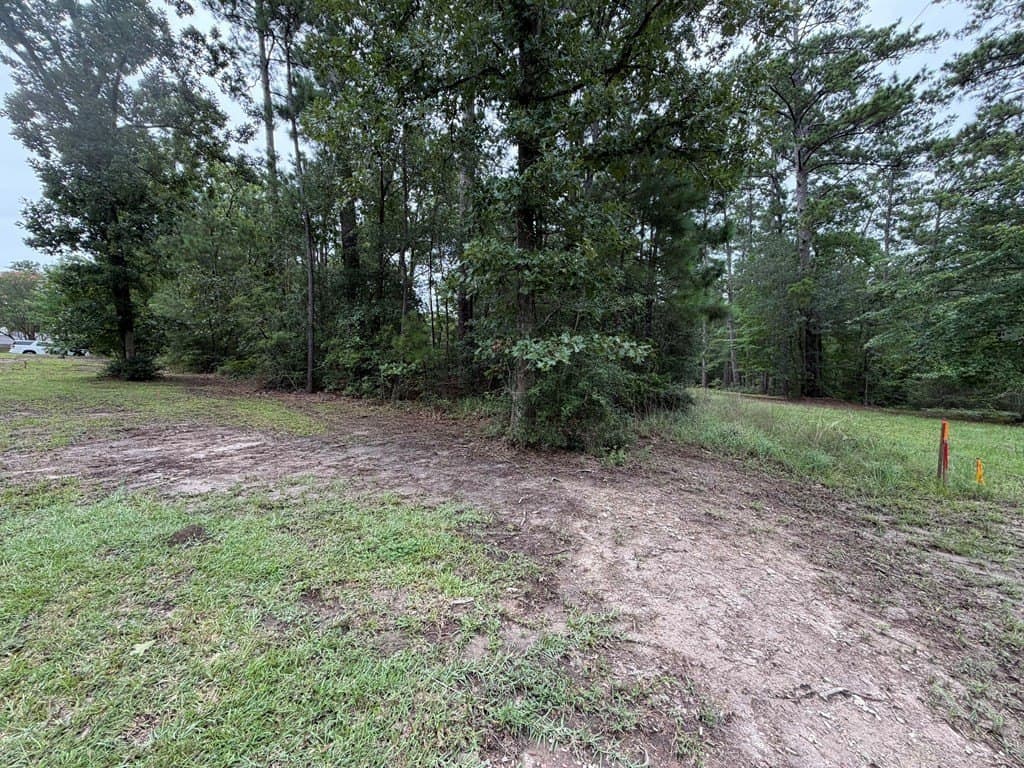 0.45 acres in Texas County - photo 11