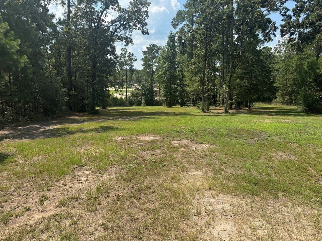 0.45 acres in Texas County - photo 8