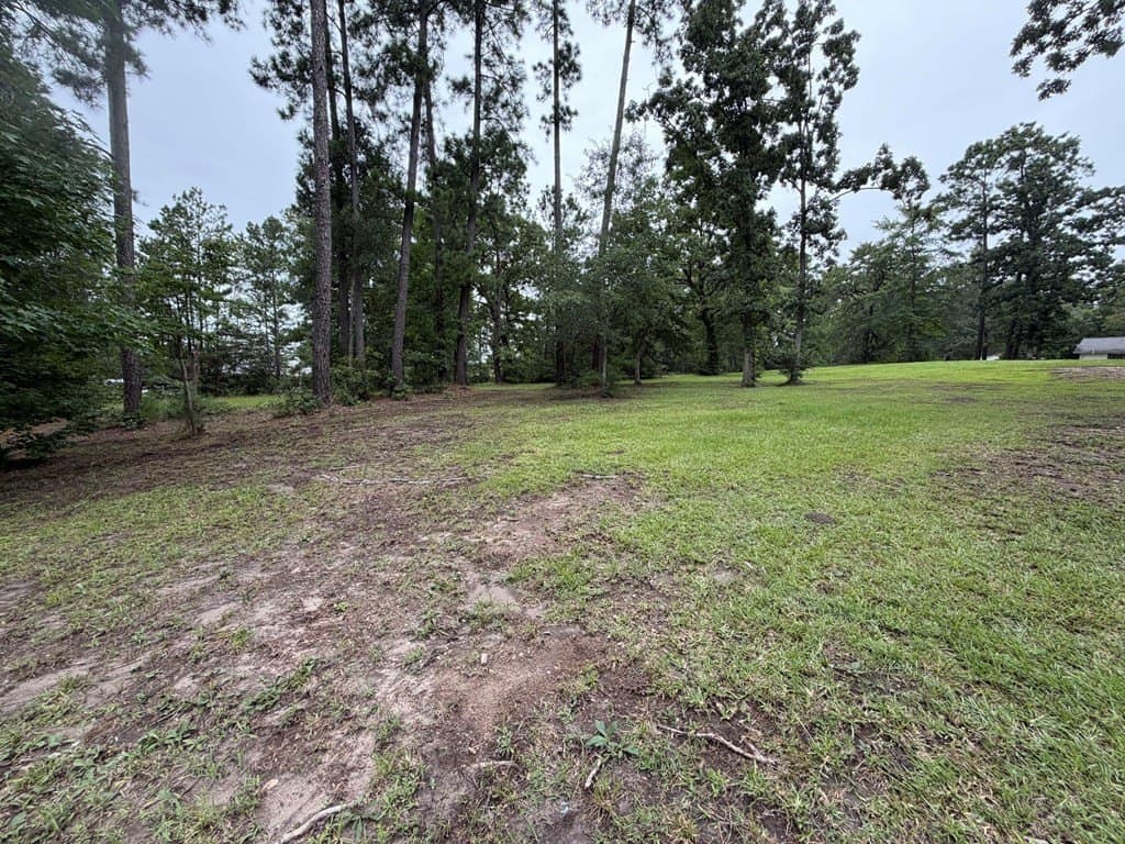 0.45 acres in Texas County - photo 21