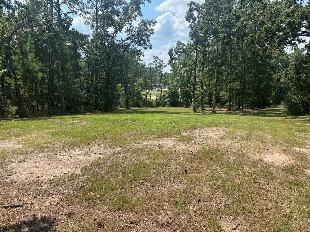 0.45 acres in Texas County - photo 17