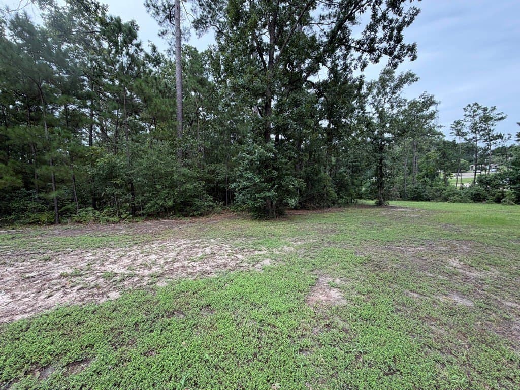 0.45 acres in Texas County - photo 9