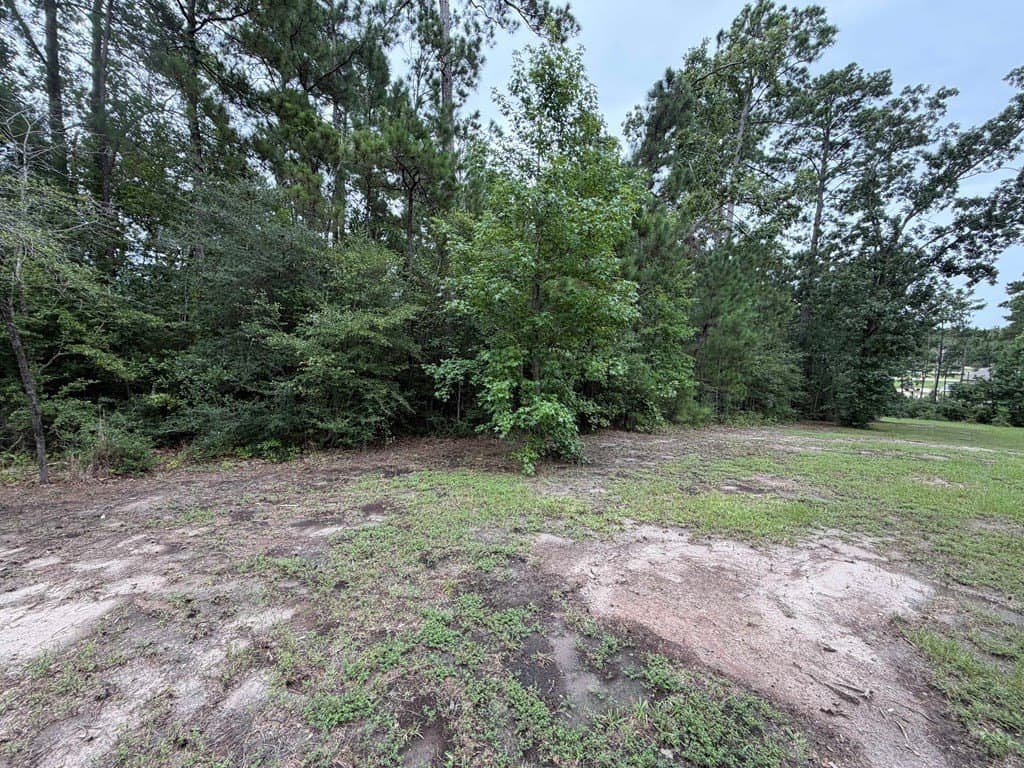 0.45 acres in Texas County - photo 15