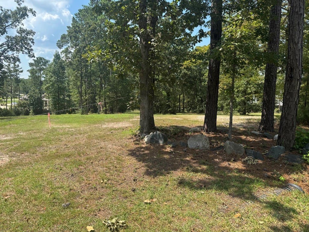 0.45 acres in Texas County - photo 10