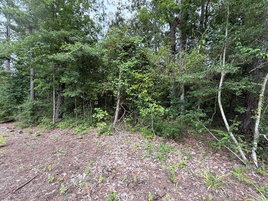 0.45 acres in Texas County - photo 22