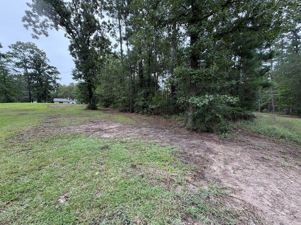 0.45 acres in Texas County - photo 19