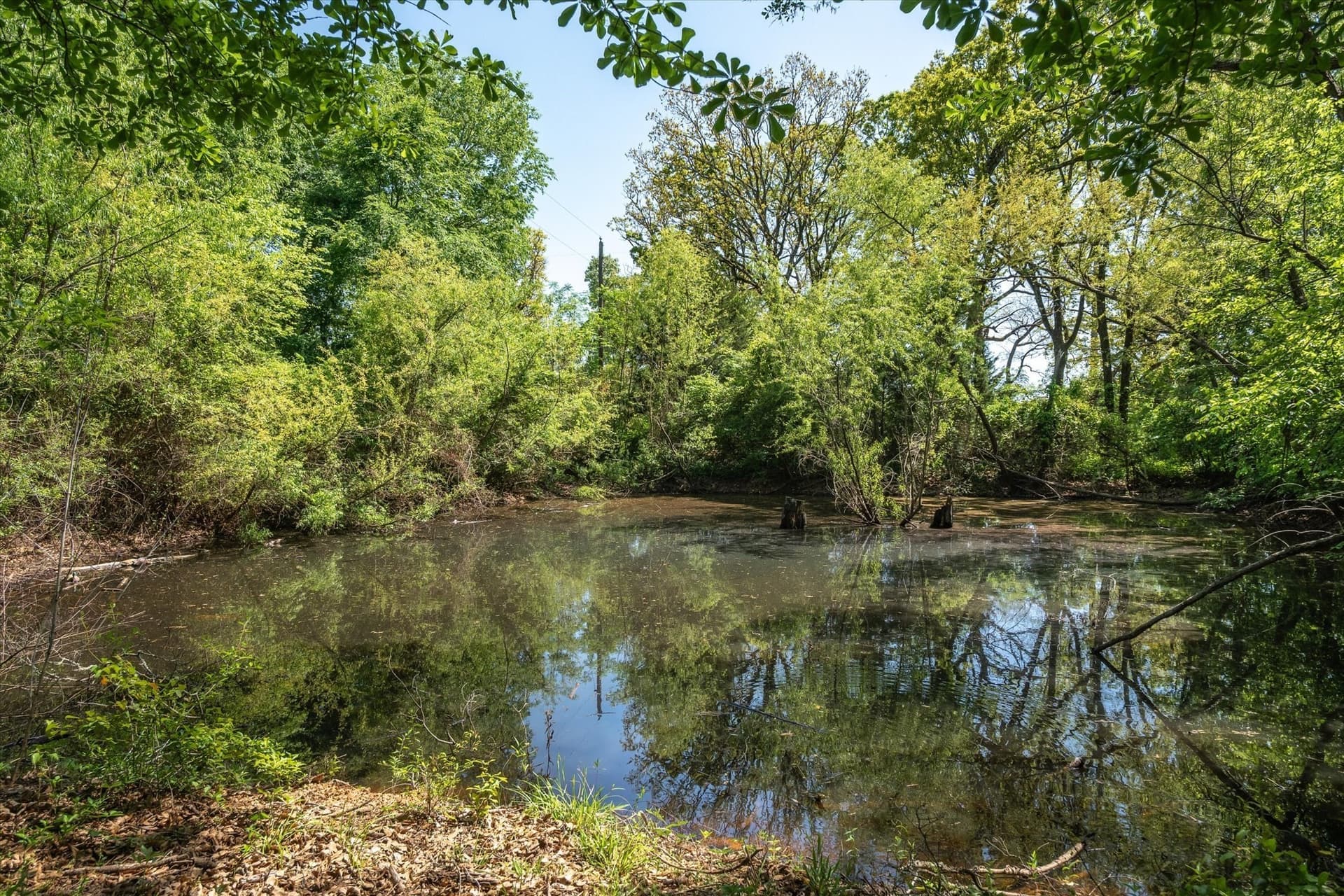 10 acres in Van Zandt County gallery image 3