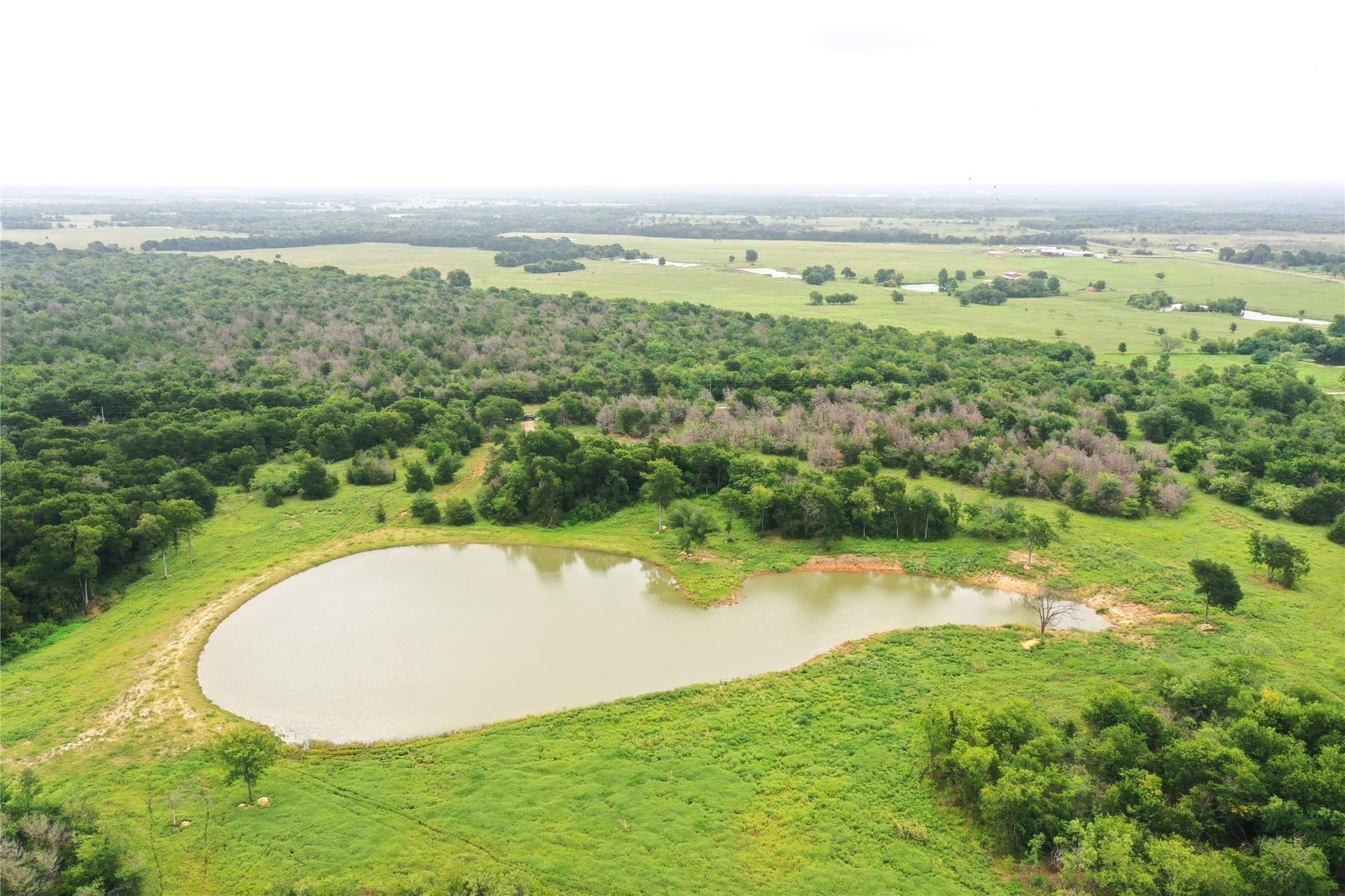 47.78 acres in Freestone County gallery image 2