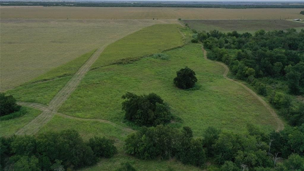 7 acres in Falls County gallery image 4