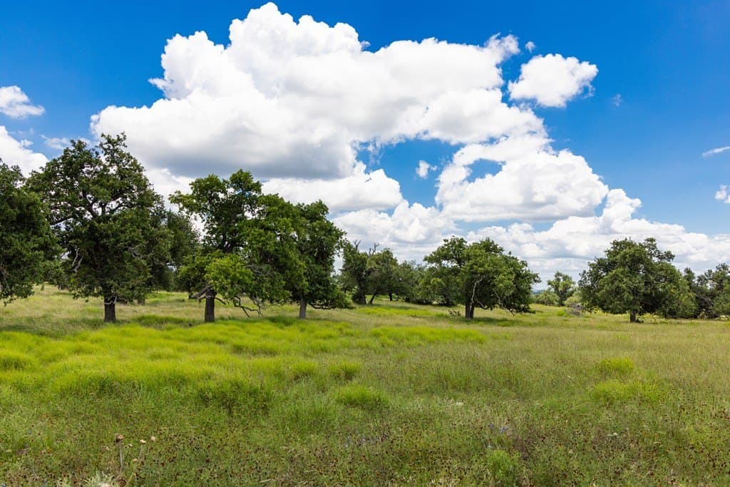 10.8 acres in Gillespie County - photo 10