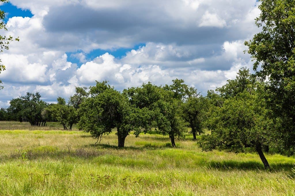 10.8 acres in Gillespie County - photo 12