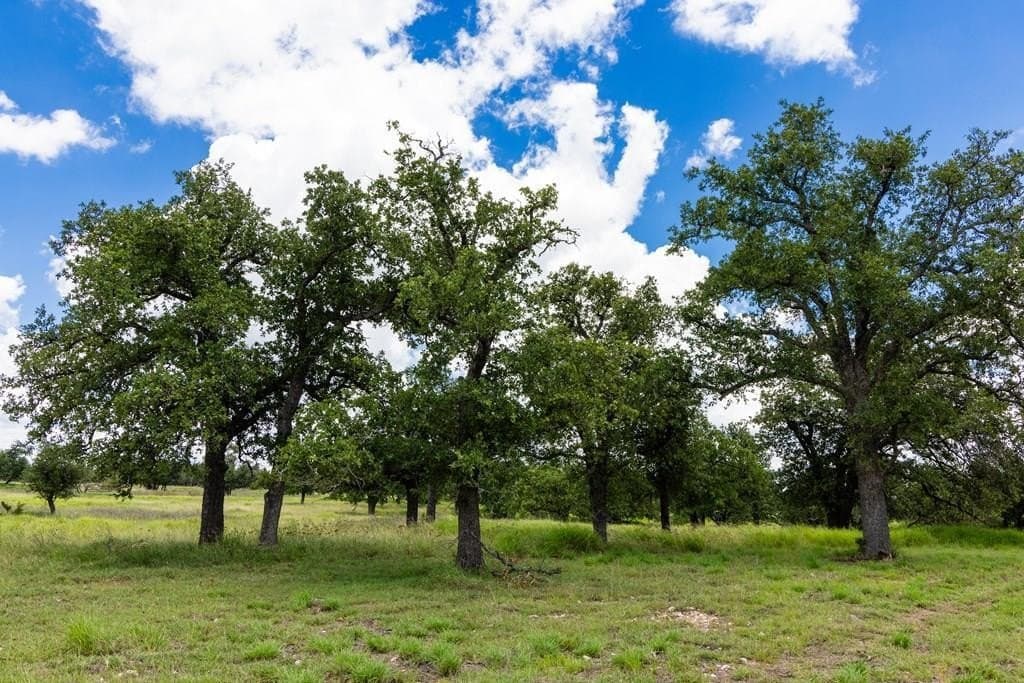 10.8 acres in Gillespie County gallery image 2