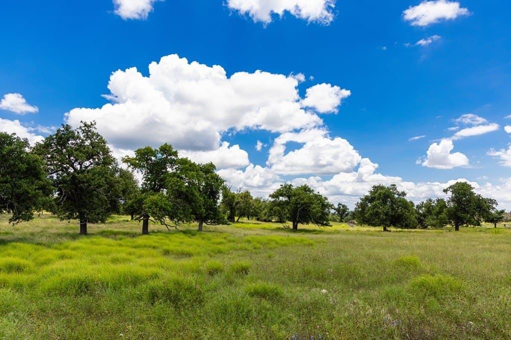 10.8 acres in Gillespie County - photo 8