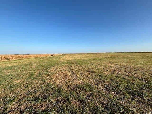 10.01 acres in Hill County - photo 3