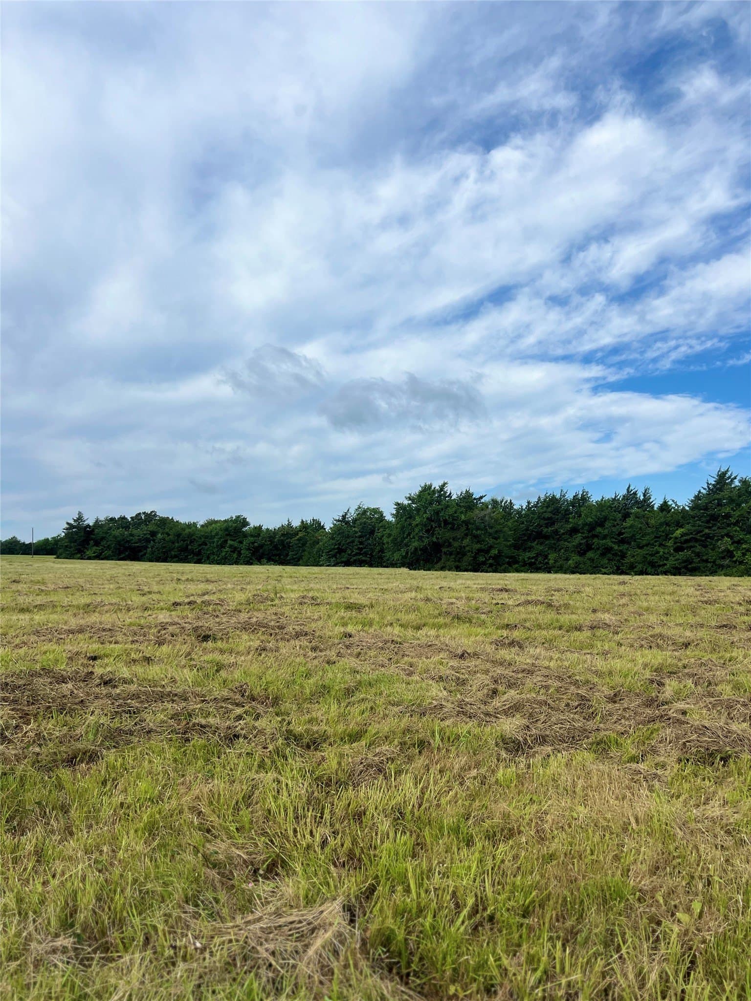 10.84 acres in Hopkins County featured view