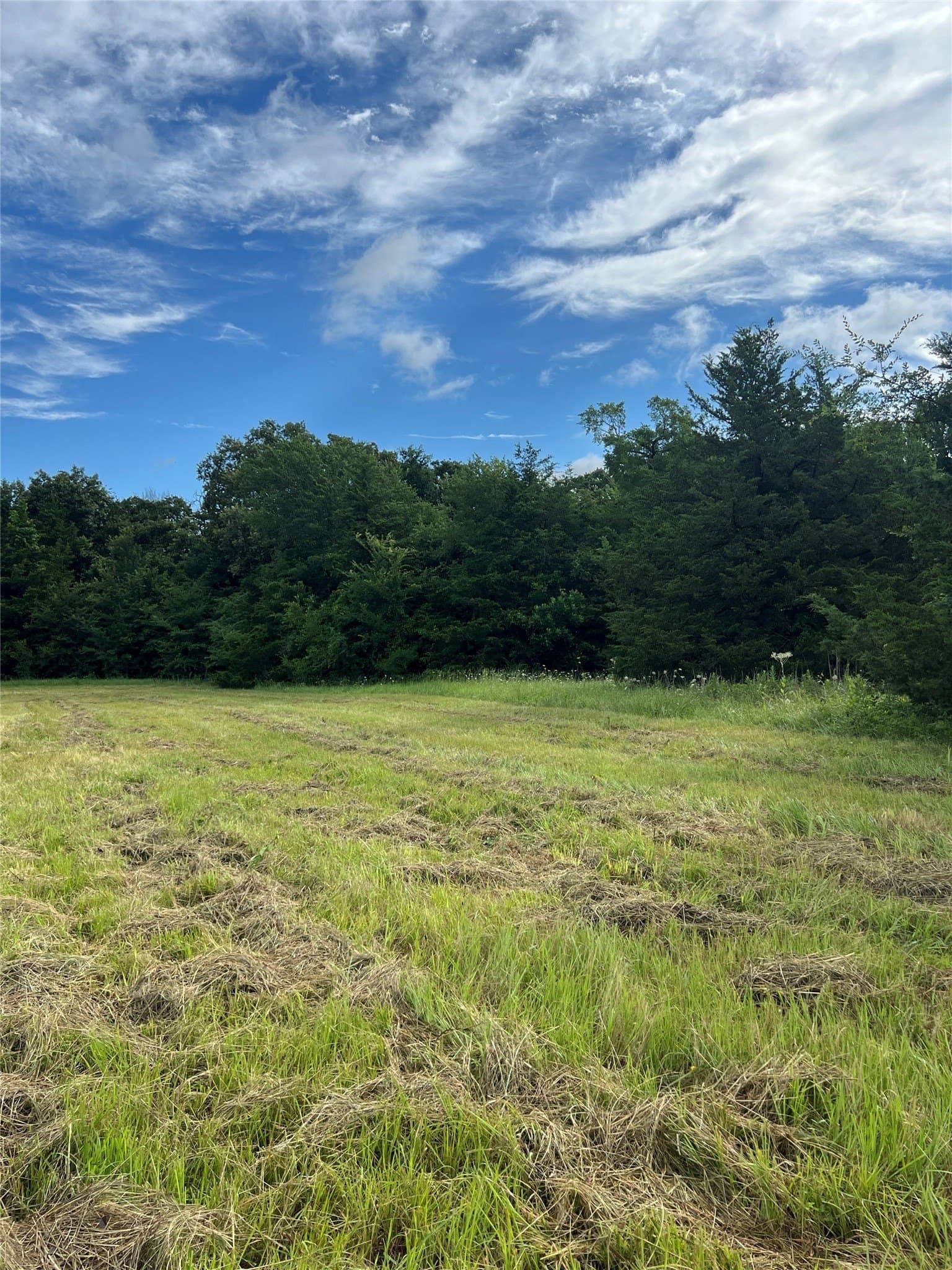 10.84 acres in Hopkins County gallery image 4