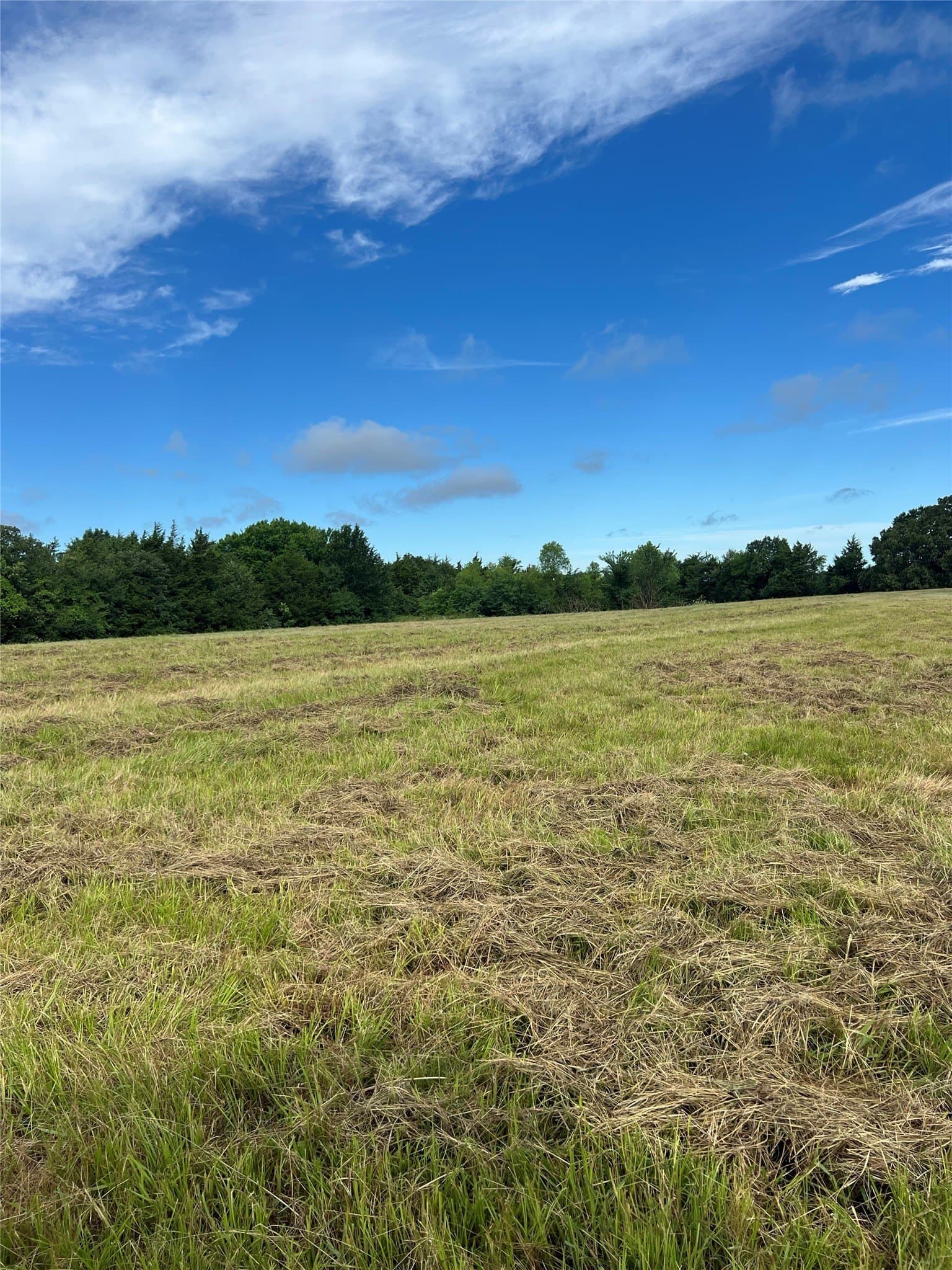 10.84 acres in Hopkins County gallery image 3