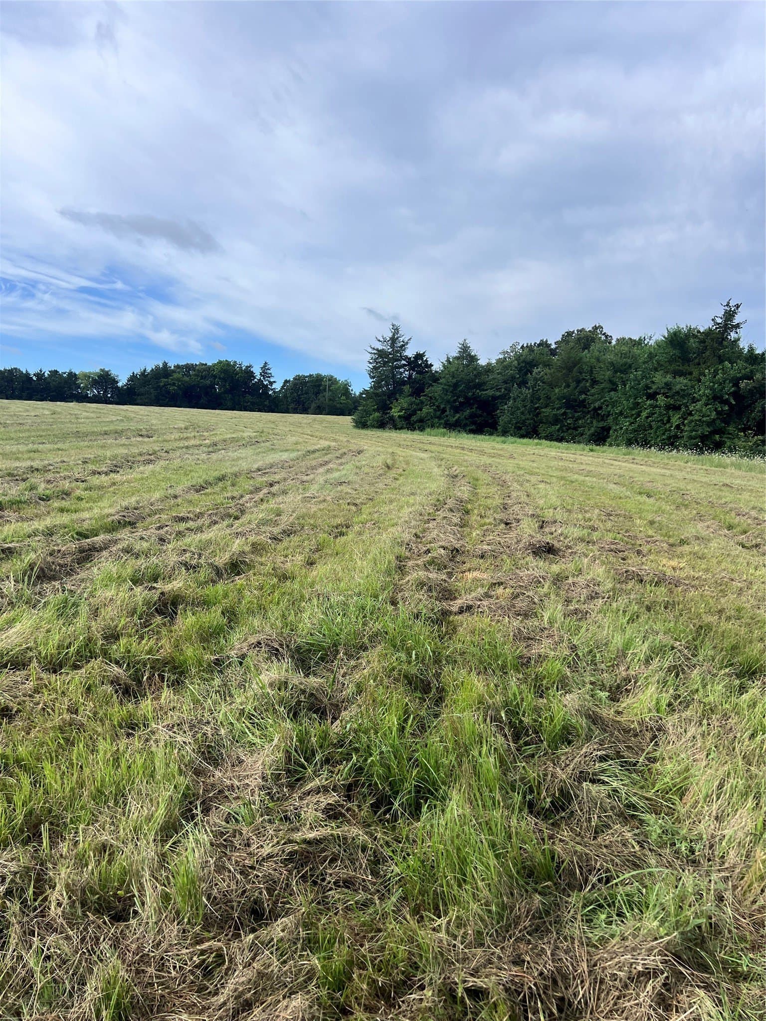 10.84 acres in Hopkins County gallery image 2