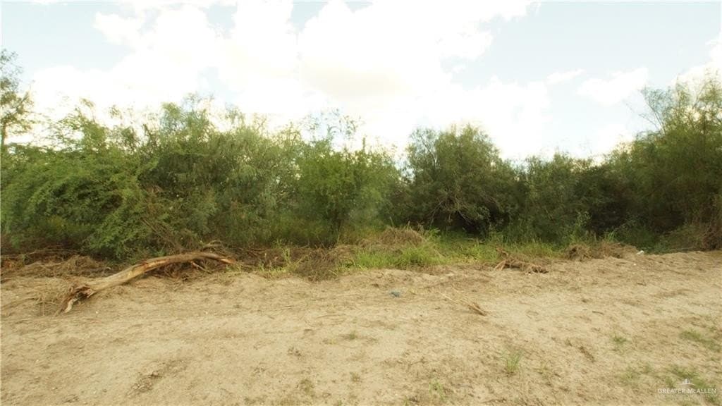 10 acres in Hidalgo County gallery image 2