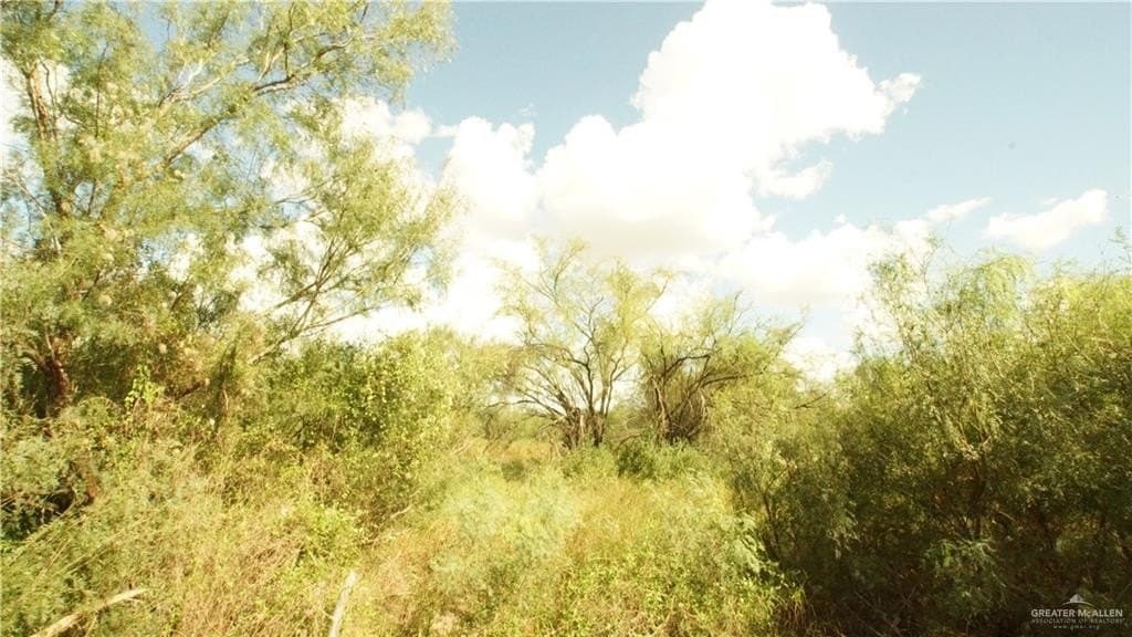 10 acres in Hidalgo County