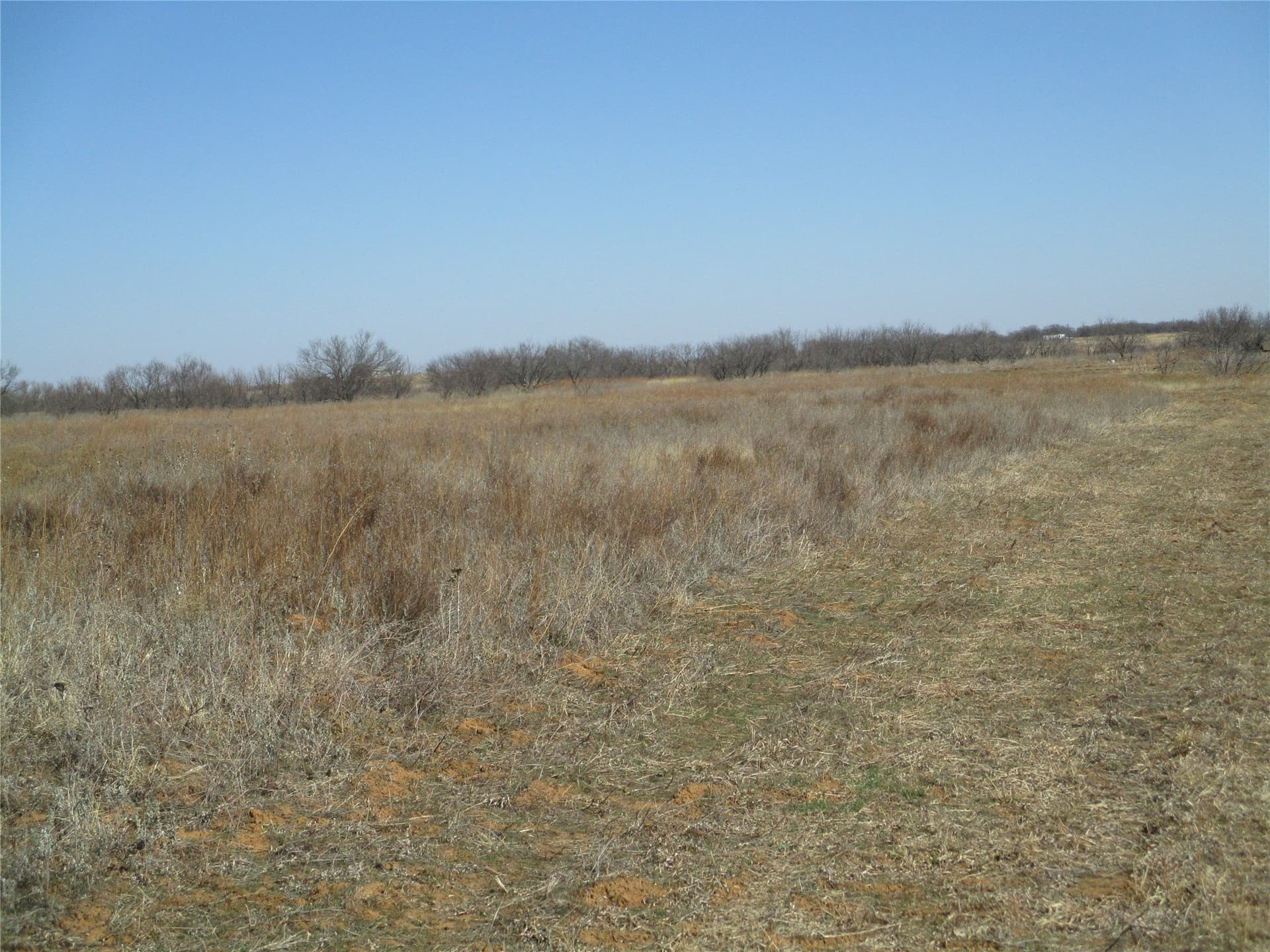 13.64 acres in Clay County featured view