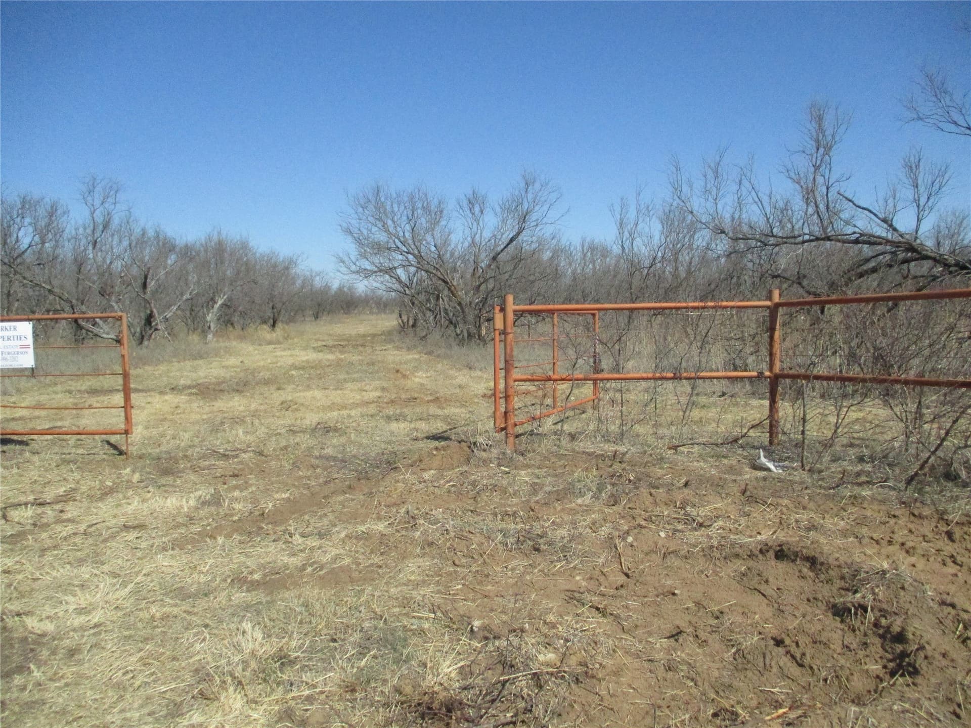 13.64 acres in Clay County - photo 6