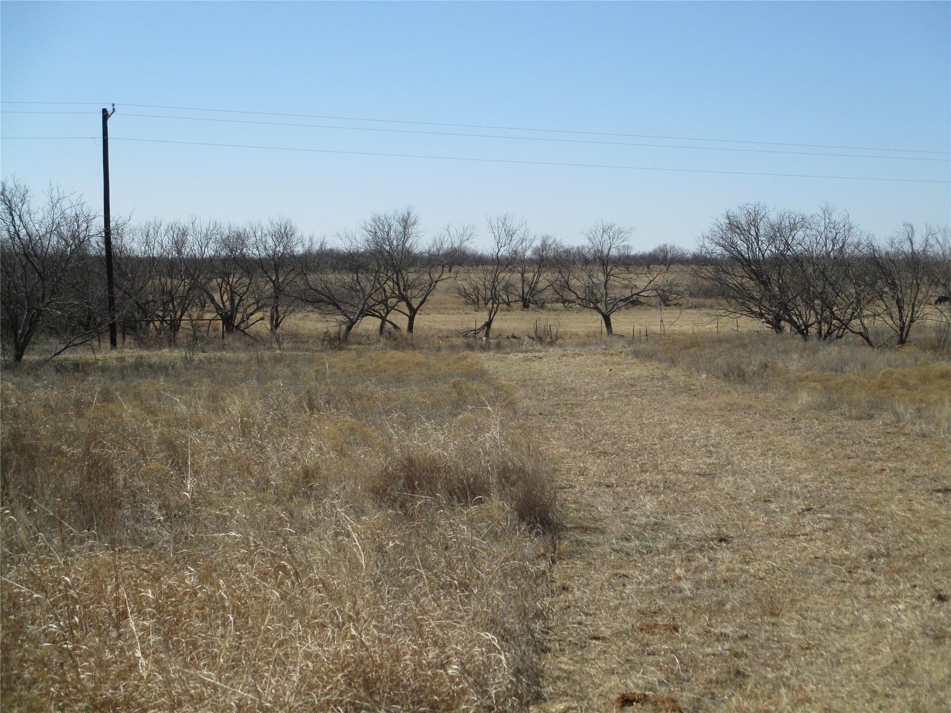 13.64 acres in Clay County gallery image 4