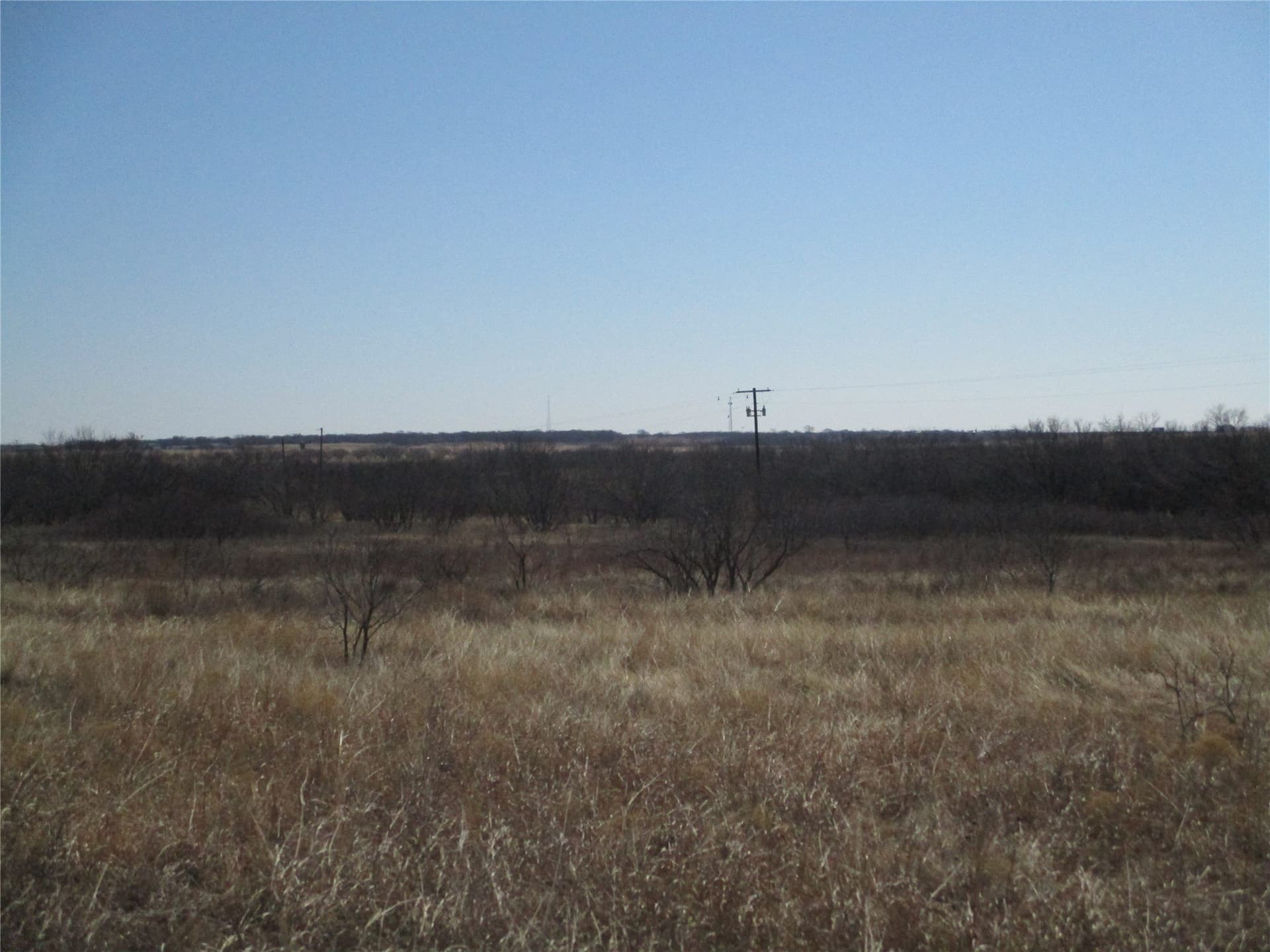 13.64 acres in Clay County gallery image 3