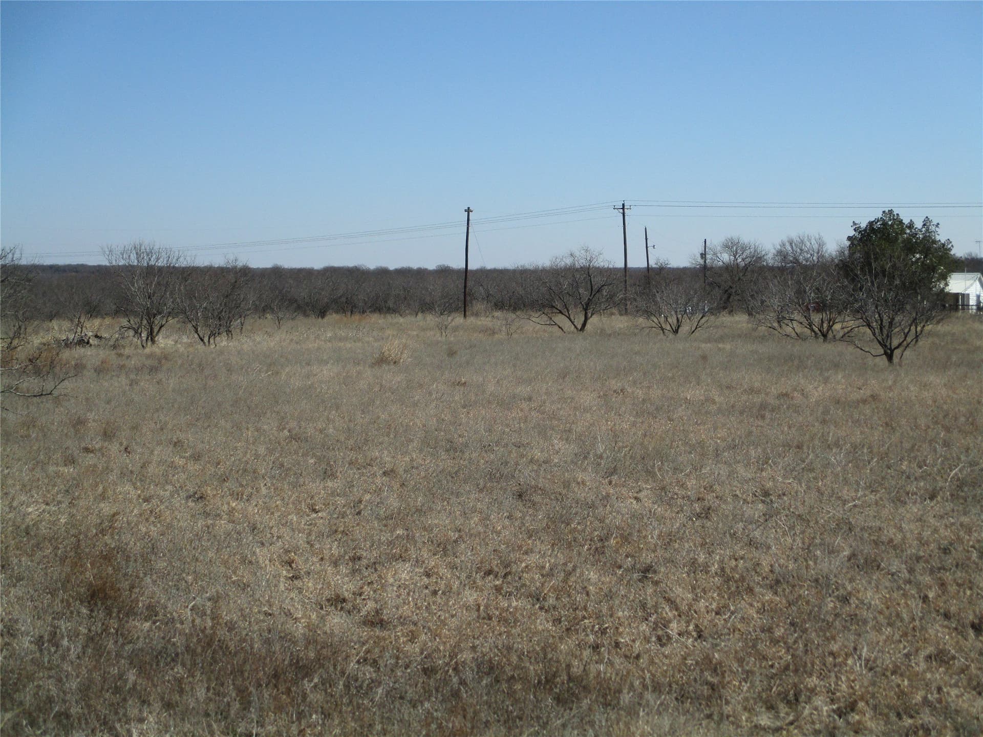 13.64 acres in Clay County gallery image 2