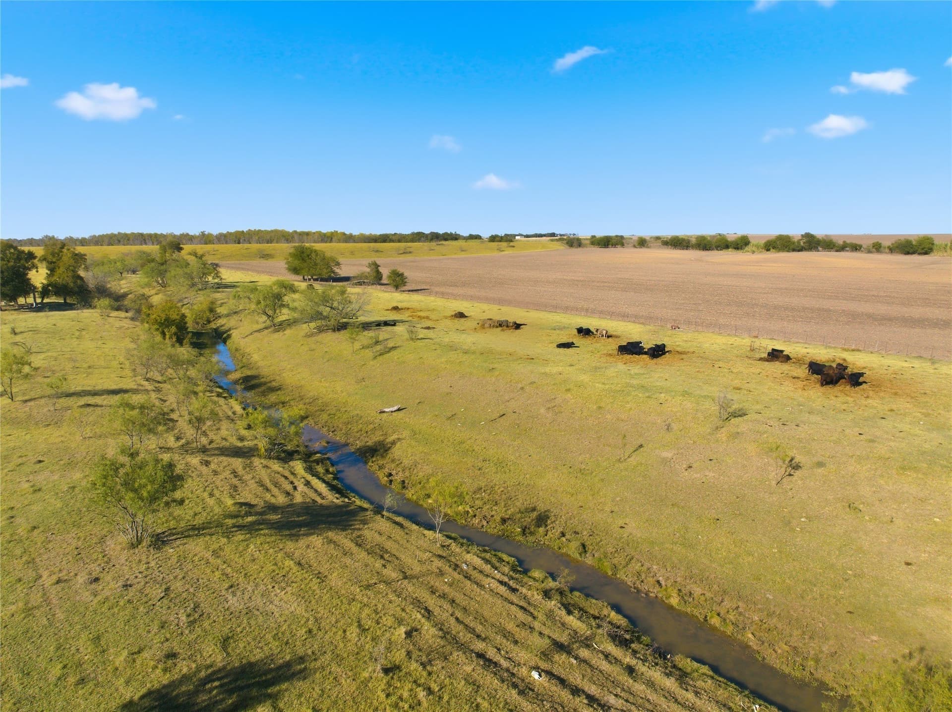 80 acres in McLennan County - photo 17