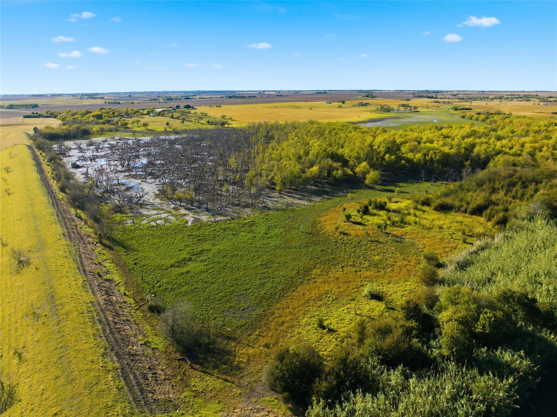 80 acres in McLennan County - photo 22