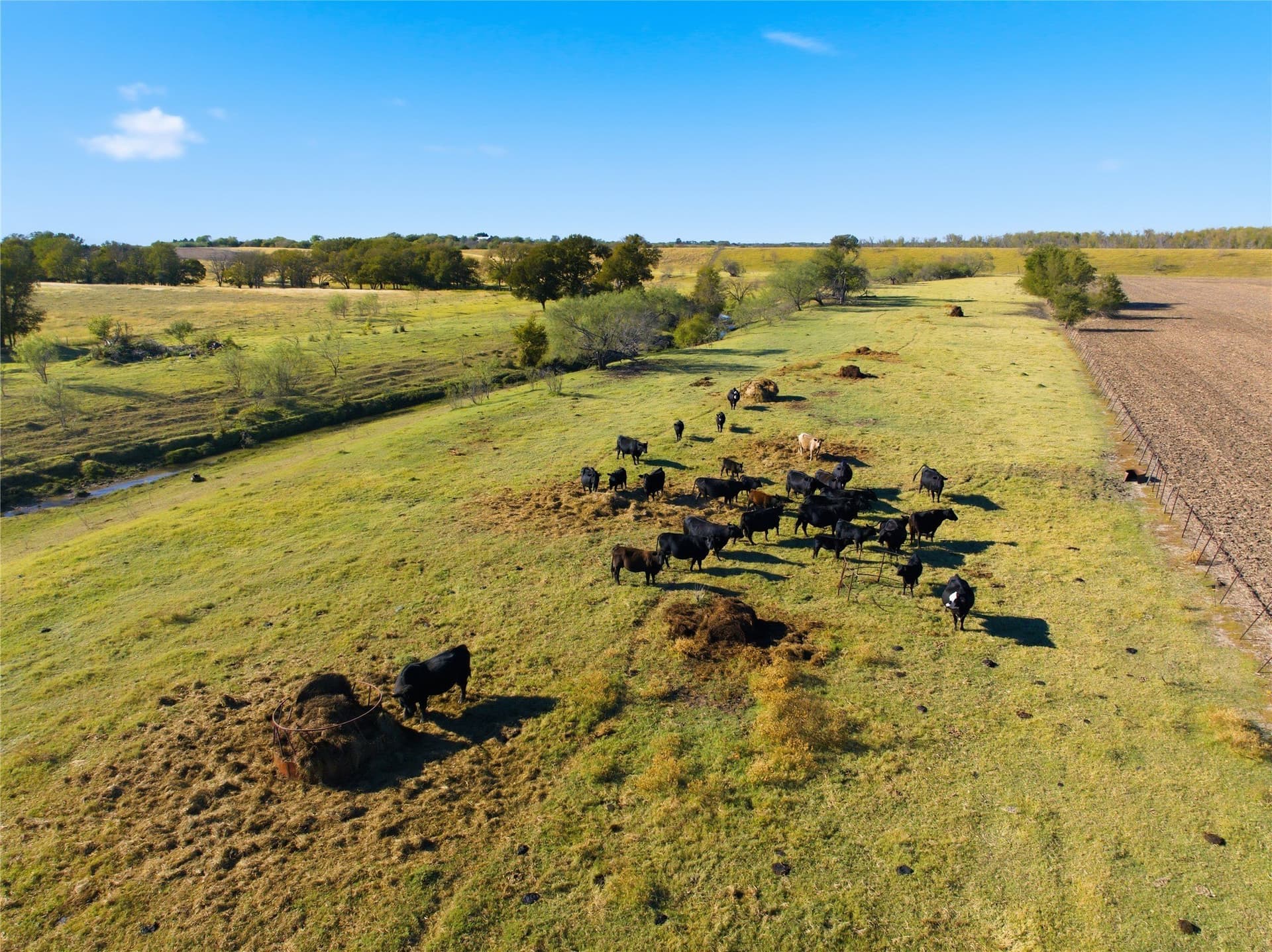 80 acres in McLennan County - photo 16