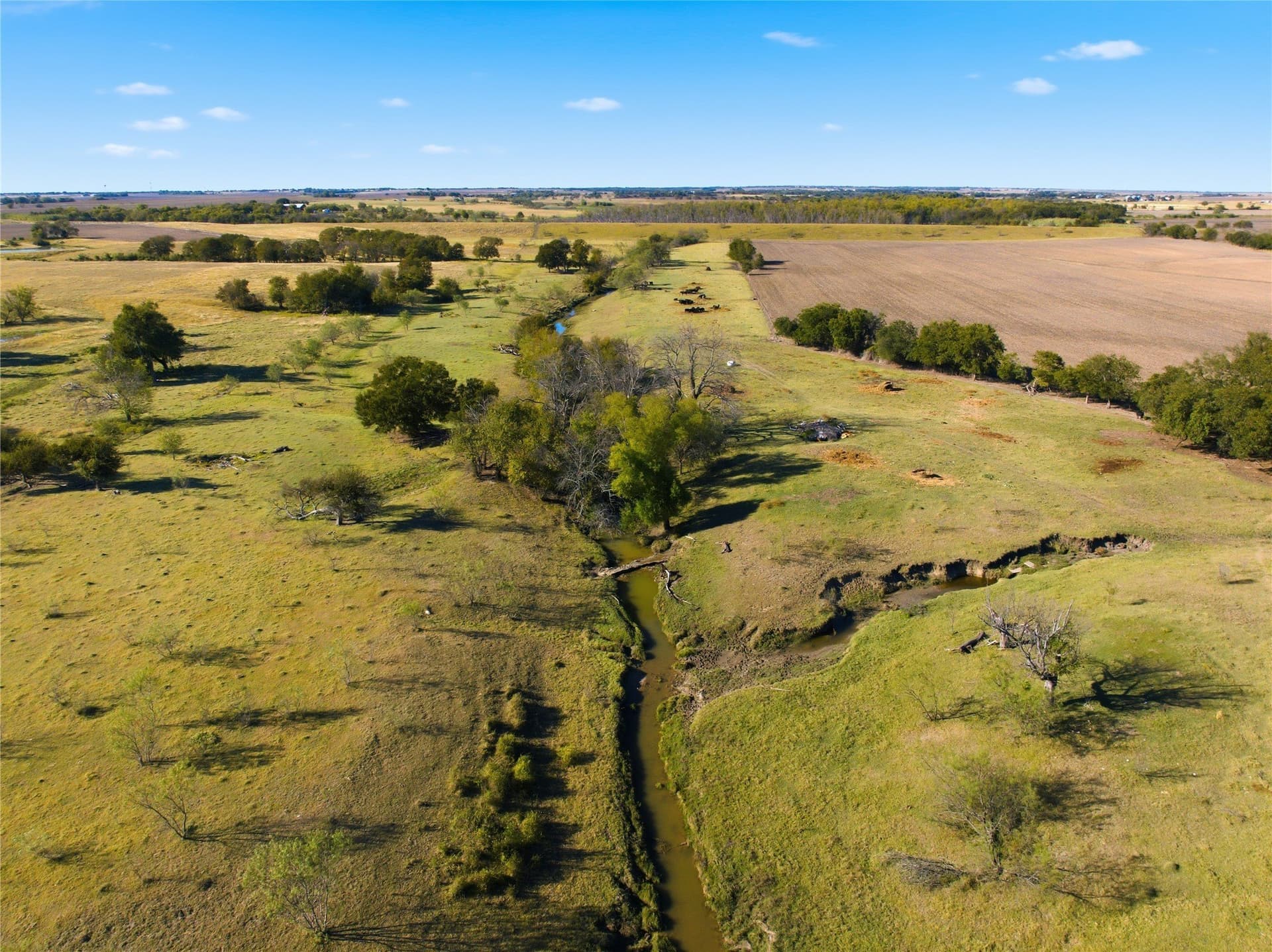 80 acres in McLennan County - photo 19
