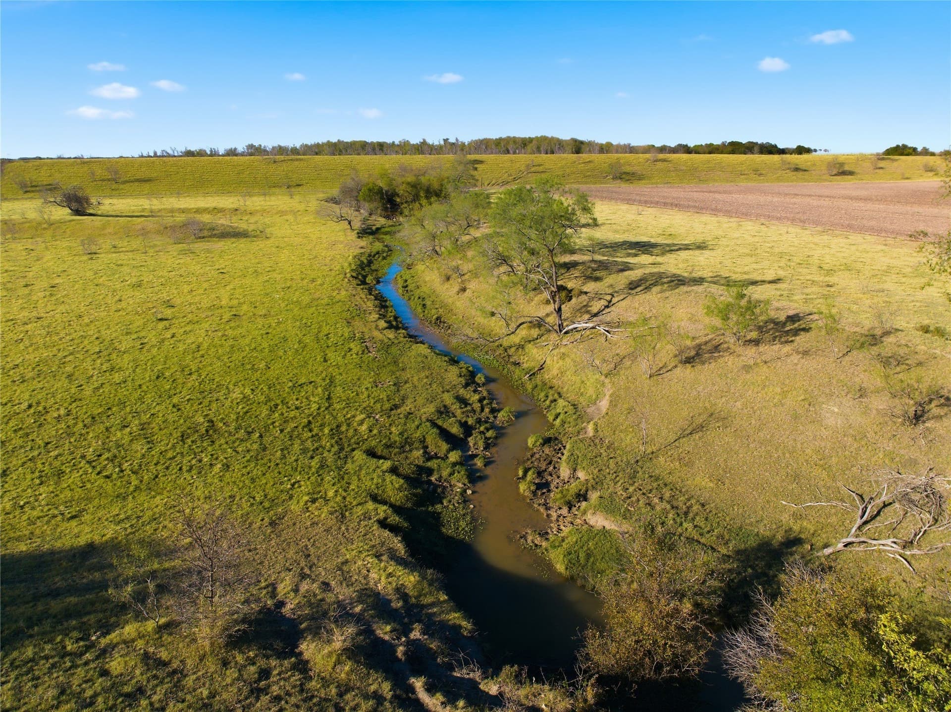 80 acres in McLennan County - photo 11