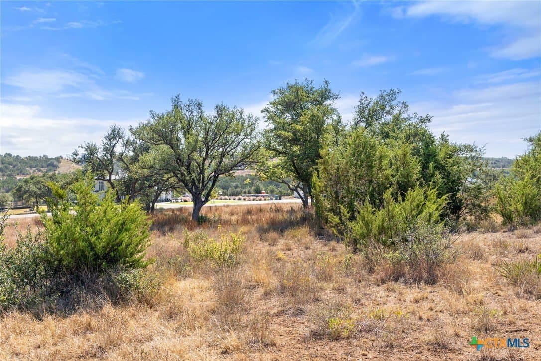 5.01 acres in Blanco County - photo 43