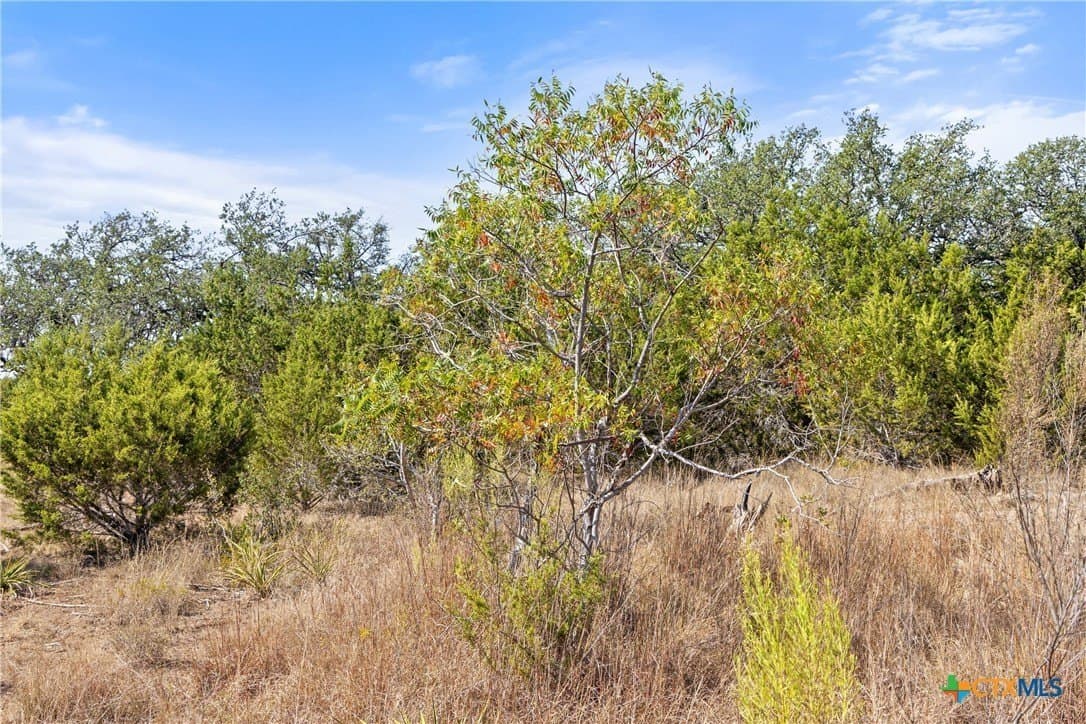 5.01 acres in Blanco County - photo 42