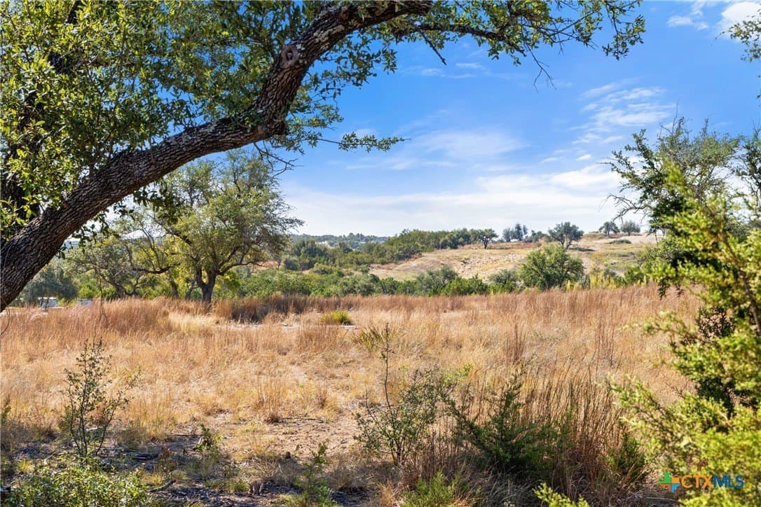 5.01 acres in Blanco County - photo 46