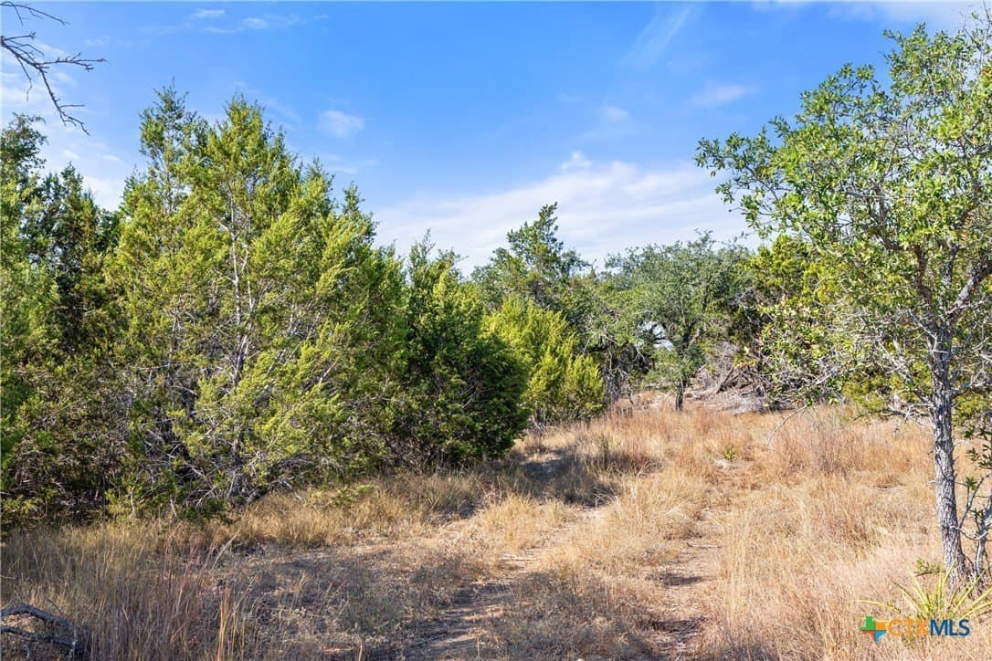 5.01 acres in Blanco County - photo 41