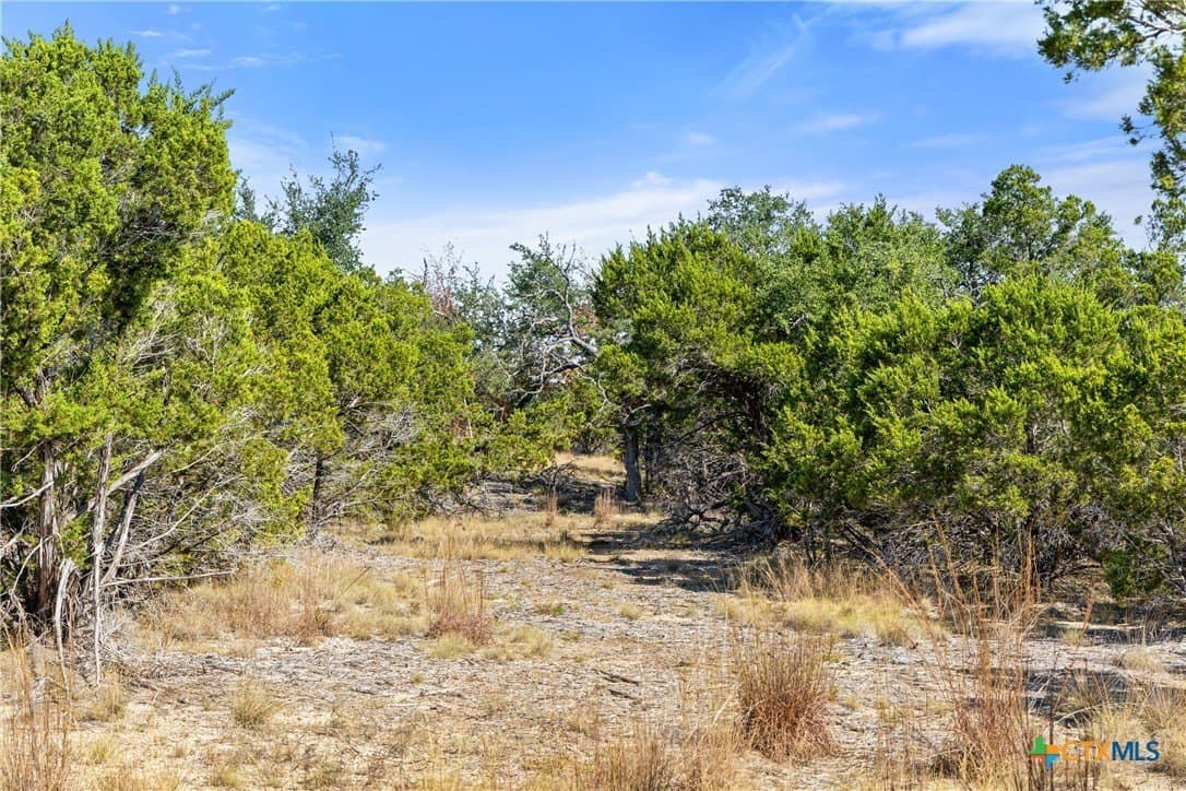 5.01 acres in Blanco County - photo 39