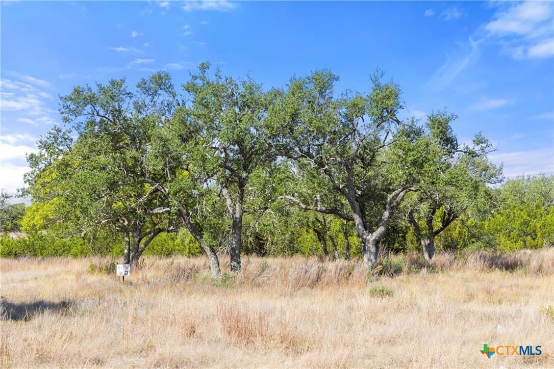 5.01 acres in Blanco County - photo 31