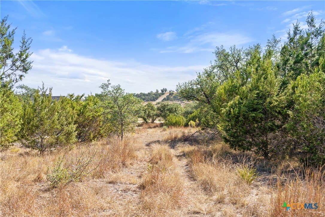 5.01 acres in Blanco County - photo 40