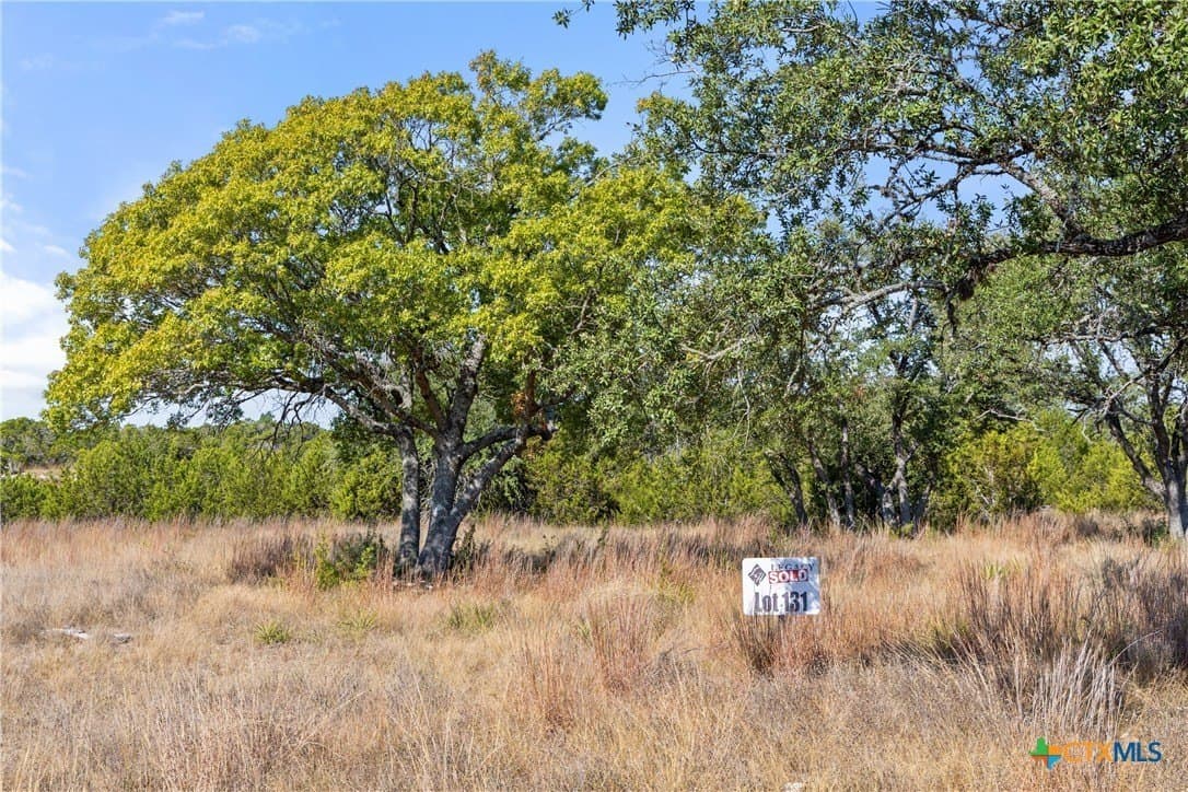 5.01 acres in Blanco County - photo 33