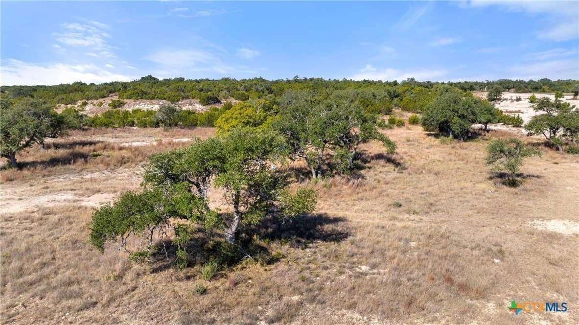 5.01 acres in Blanco County - photo 18